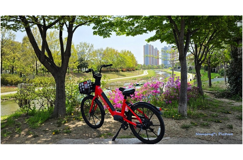 버려진 자전거 ------