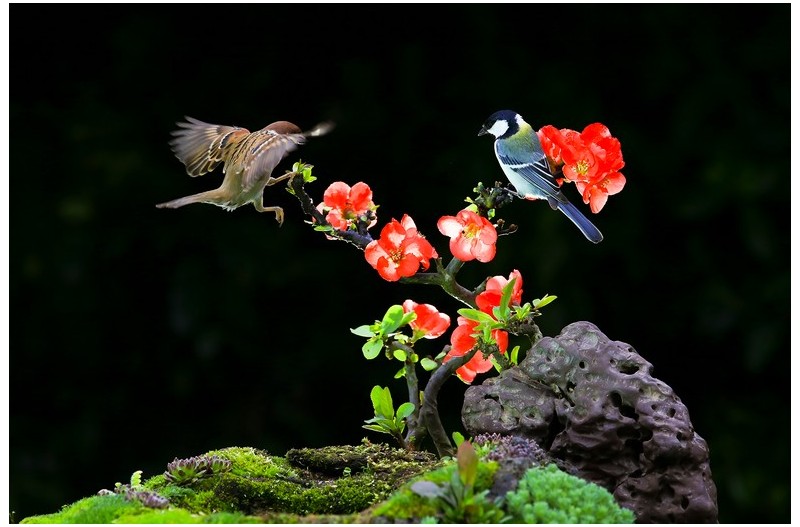 산책하는 참새들`
