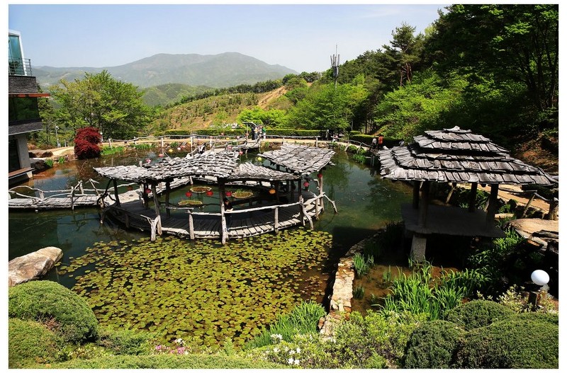 수선사 를 찾아서 ~