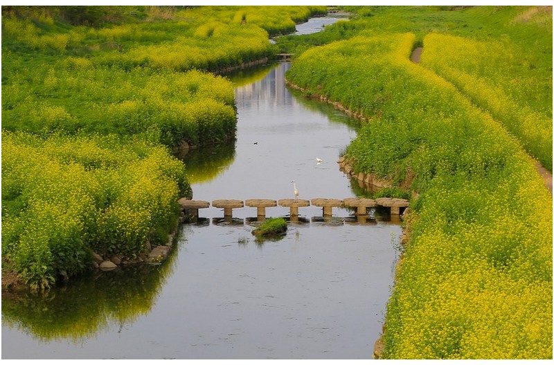 나도 모델할레~