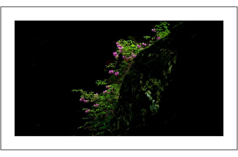 카메라로 그려보는 그림...