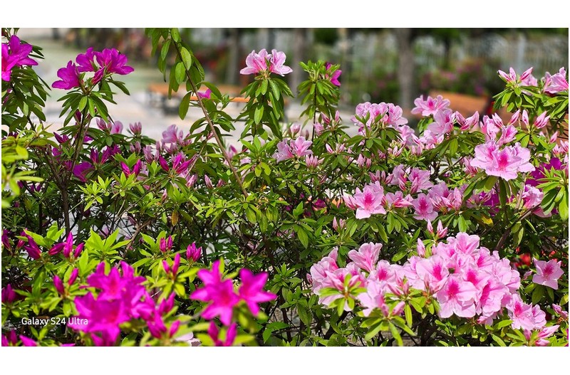 지나던 길목에서 -------