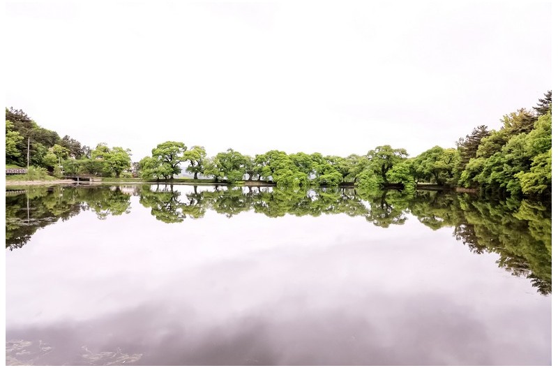 초록이 무성한 반곡지