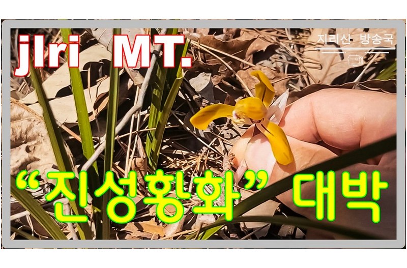 &#034;대박&#034; 난초꽃을 만나다.