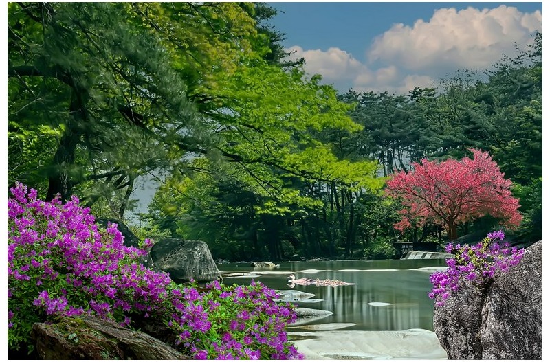 수달례 피는 계절`