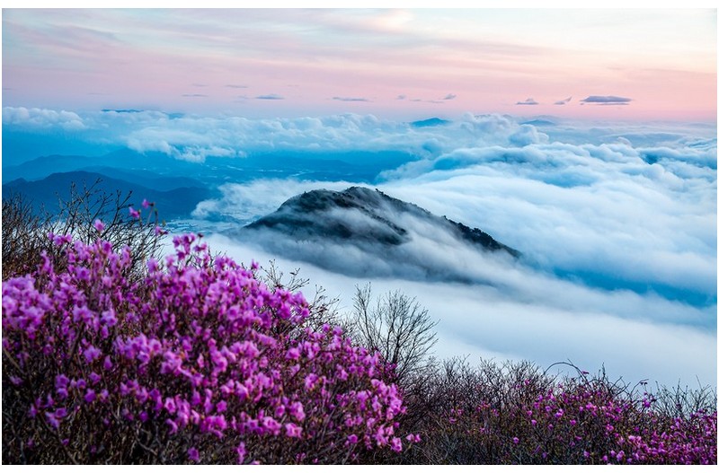 지리산 그 깊은 아침에
