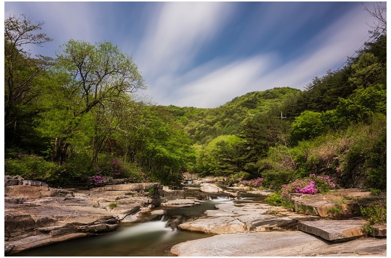 어느날 월성에서