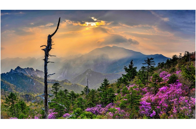 대청봉에 내린 빛,,