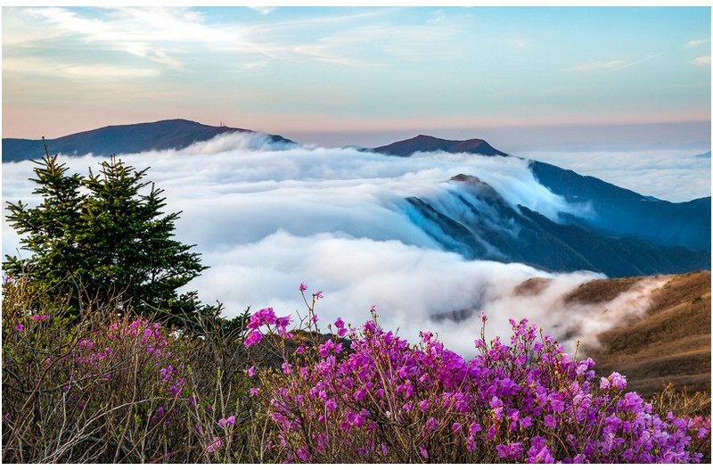 지리 그 아름다운