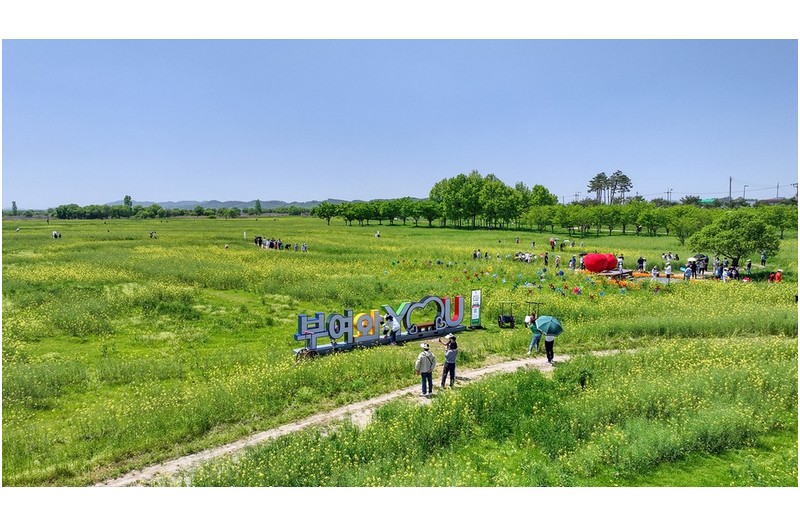 강경 유채와 토마토축제