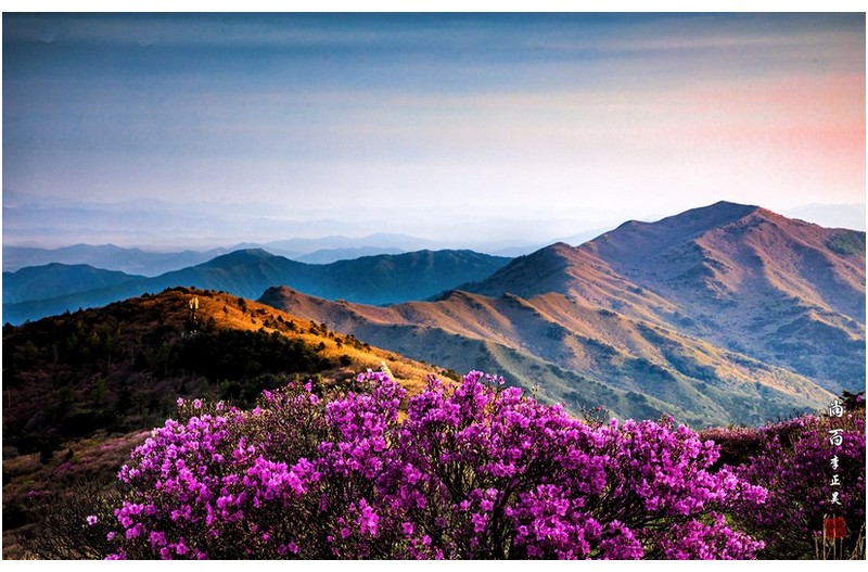 노고단의 아침 빛