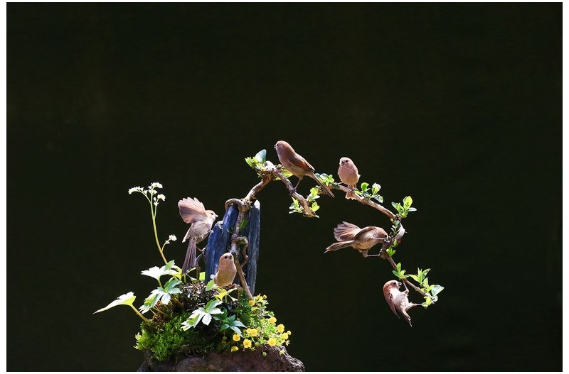 붉은머리 오목누이 노리터`