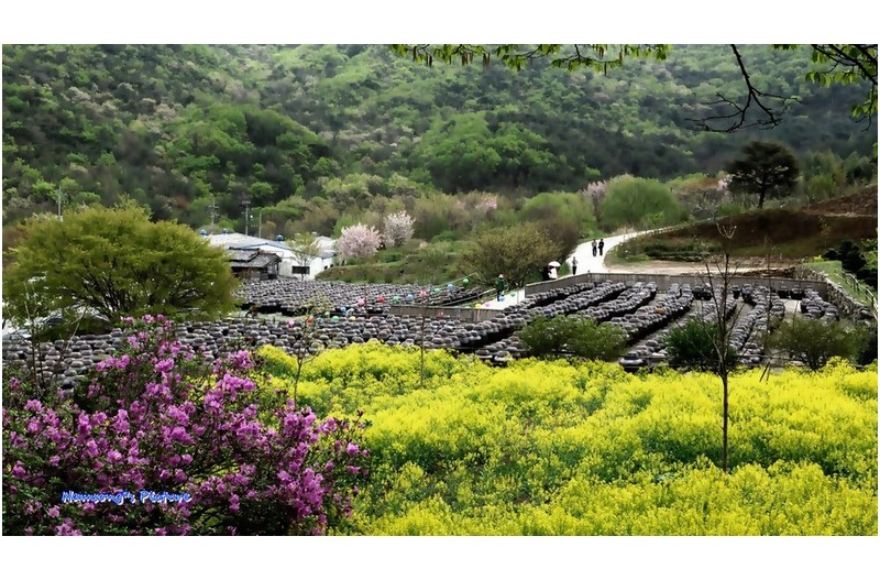 사라져 가는 우리의 것들 -------