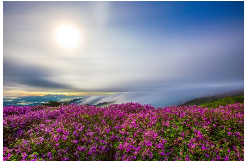 황매산 달밤 아래 2