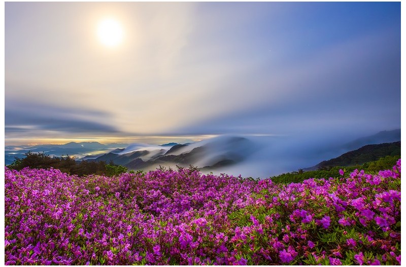 달빛 아래 황매산