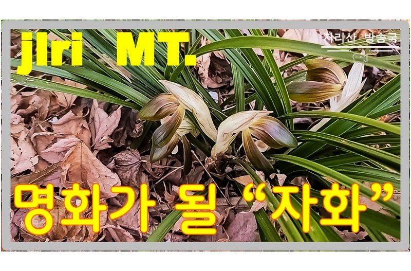 신비에 가까운 명화~