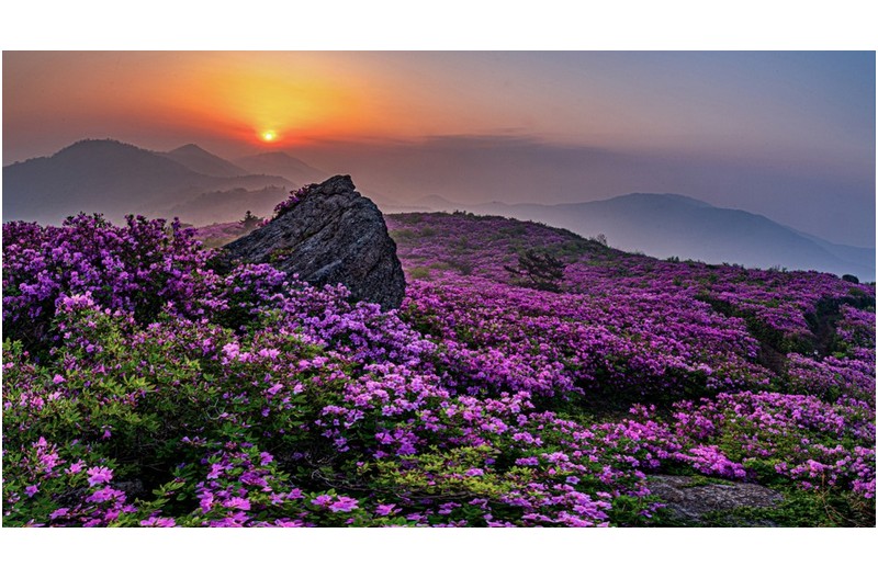 열공님 과의 추억,,,,초암산 재 작년