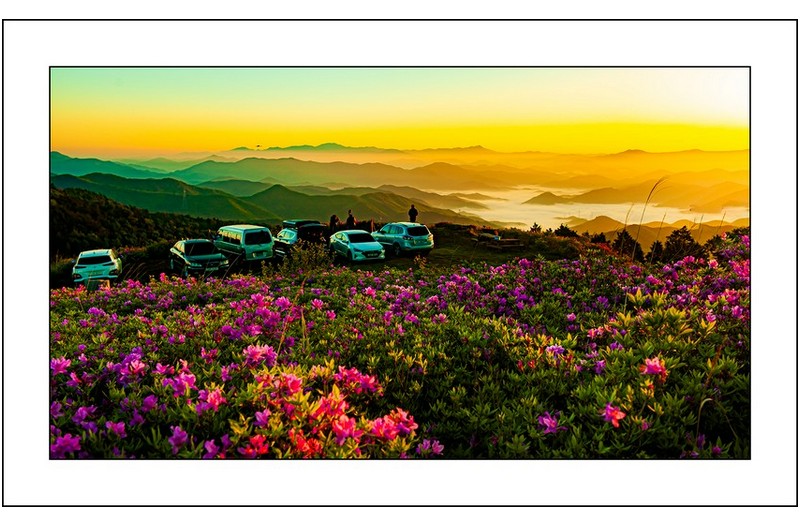 남도의  아침...