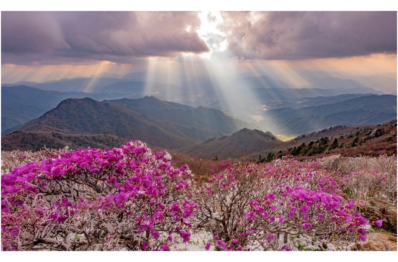 이제는 점점보기 힘들어지는,,,