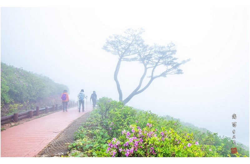 안개속의 황매산 .