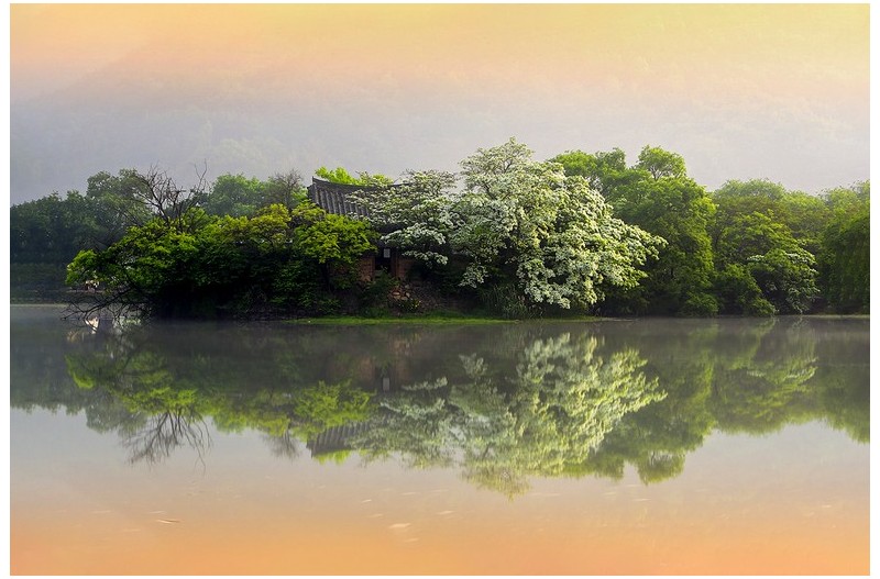 이팝나무와 반영