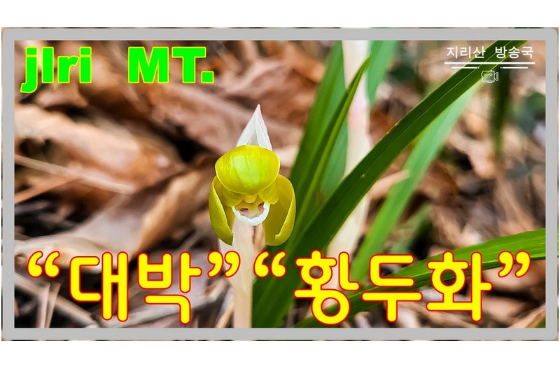 이런 꽃을 만난다는 것은 신의 허락 없이는 불가능하다.