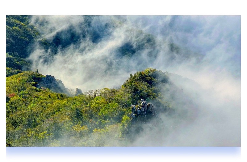 신록 봄의 왈츠