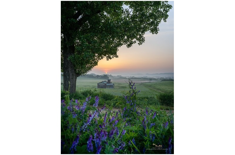 아름다운 아침에