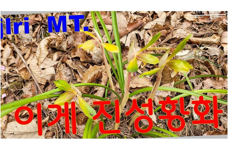 꽃이라고 다 같은 꽃이 아니다.