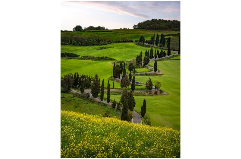 저 푸른 초원 에