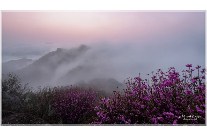 아스라한 봄의 향기