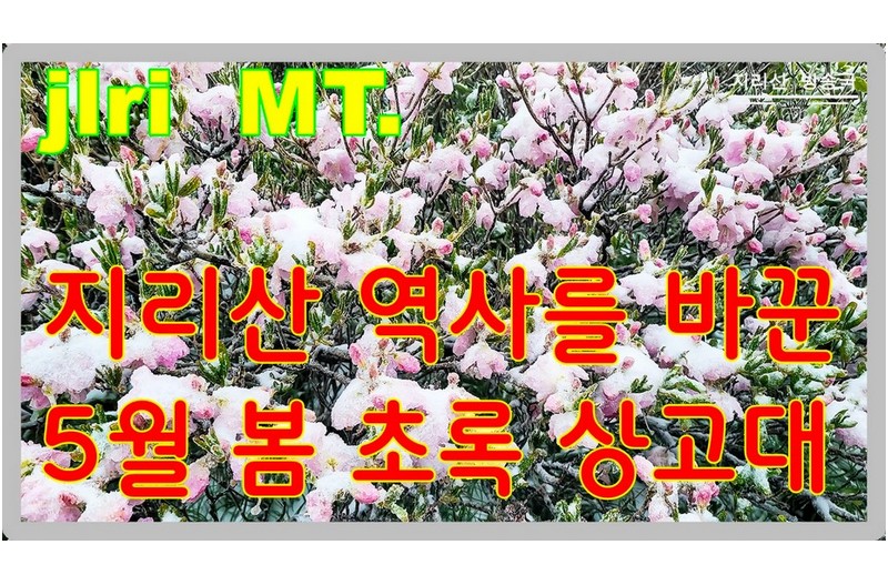 이런 것을 보아야 야생화를 보았다고 말할 자격이 주어진다.