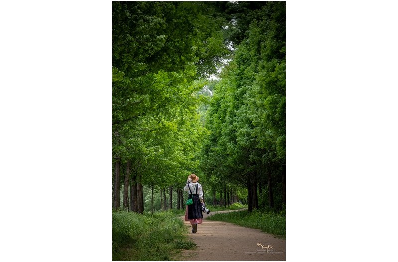 싱그런 녹음속에