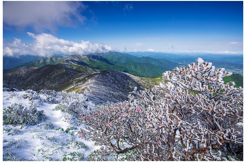 오월의 덕유산 설경