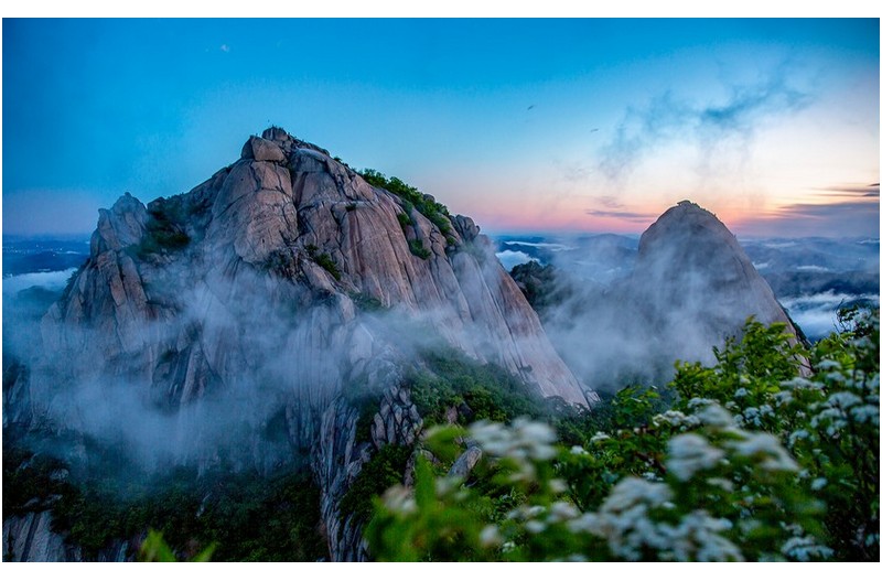 북한산에 라일락이 필때