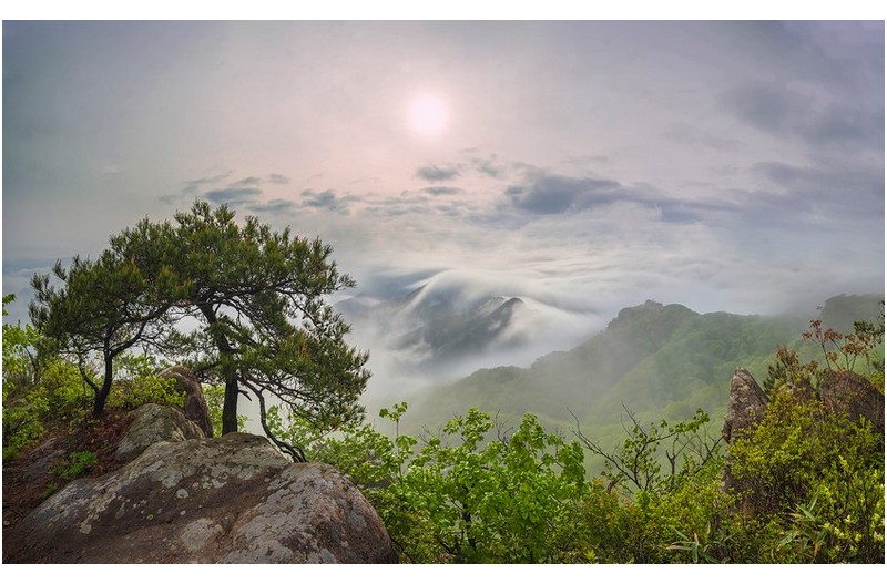 그곳에 꽃이 지다