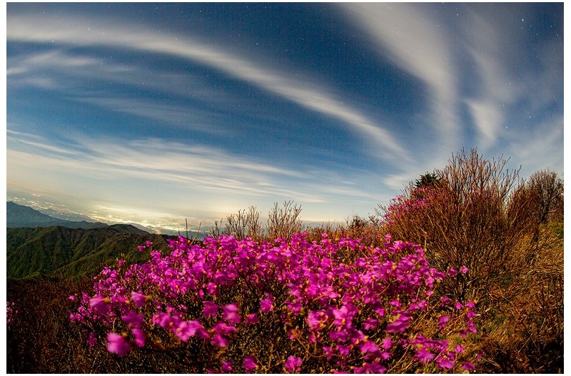 지리산 진달래가 피는 밤에