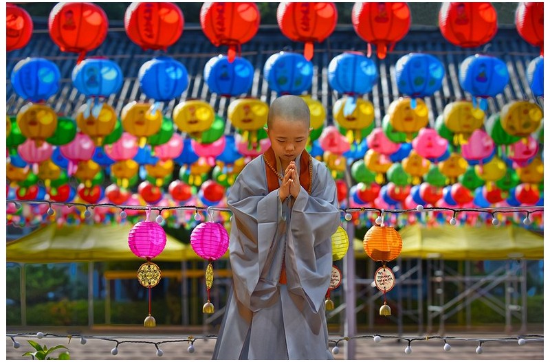 부처님오신날에...