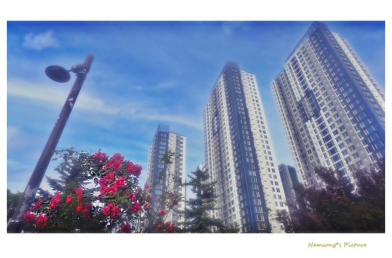 도심속에서 -----