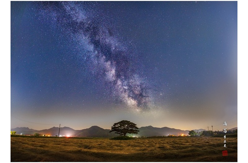 아름다운 소나무 은하수