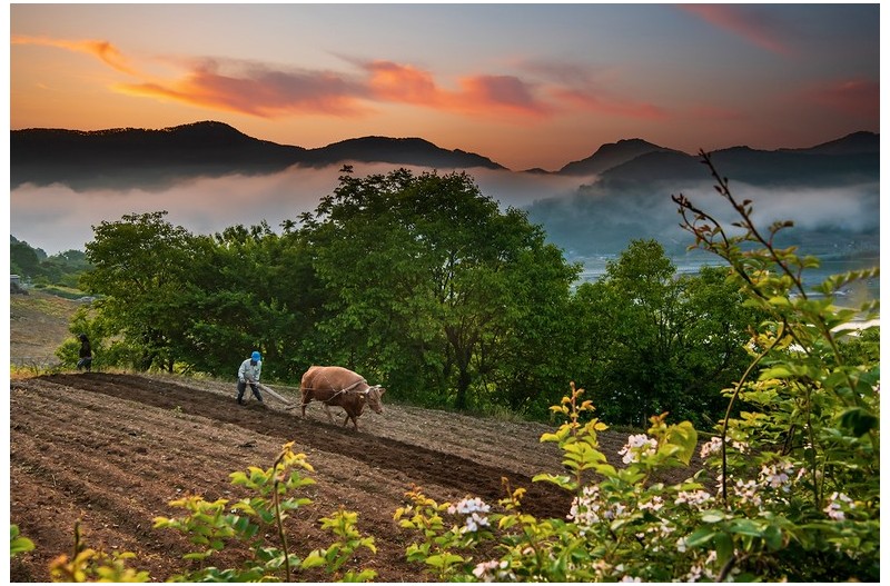 옛모습을그리며