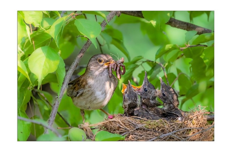 엄마? 나 먼저요