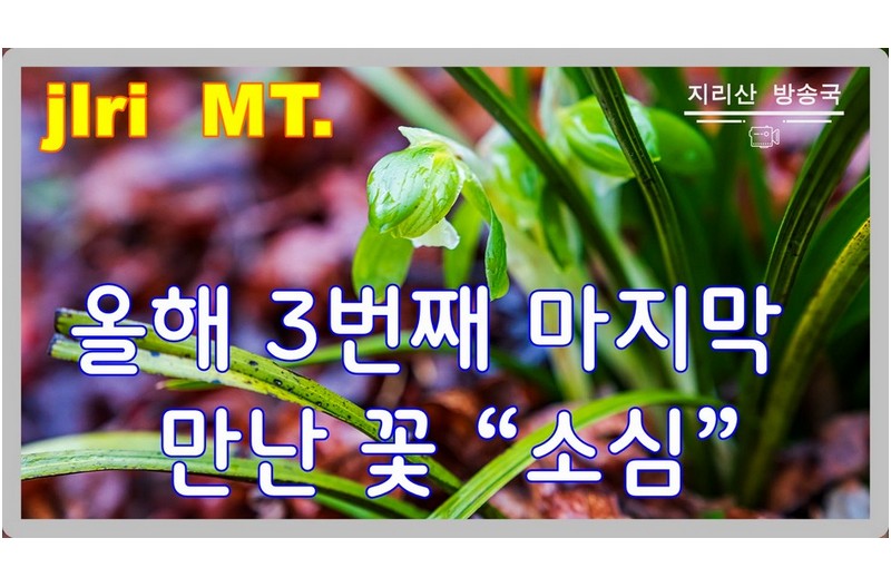 야생화의 마지막 꽃 이런 꽃을 담아보고 야생화꽃을 담아보았다고 하여야 한다.