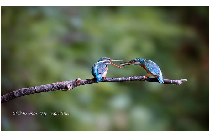 연속 샷   ㅡㅡㅡㅡㅡㅡㅡㅡㅡㅡㅡㅡㅡㅡㅡㅡ