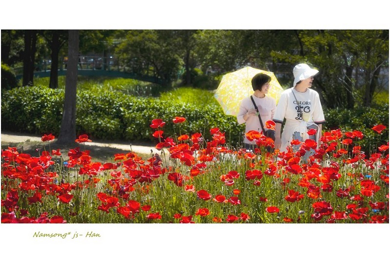 꽃밭을 지나면서 -----