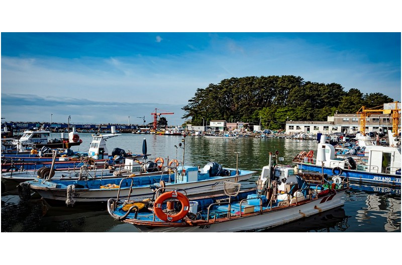 송정의 작은 포구 ----