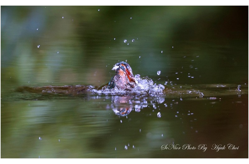 잠맥   ㅡㅡㅡㅡㅡㅡㅡㅡㅡ