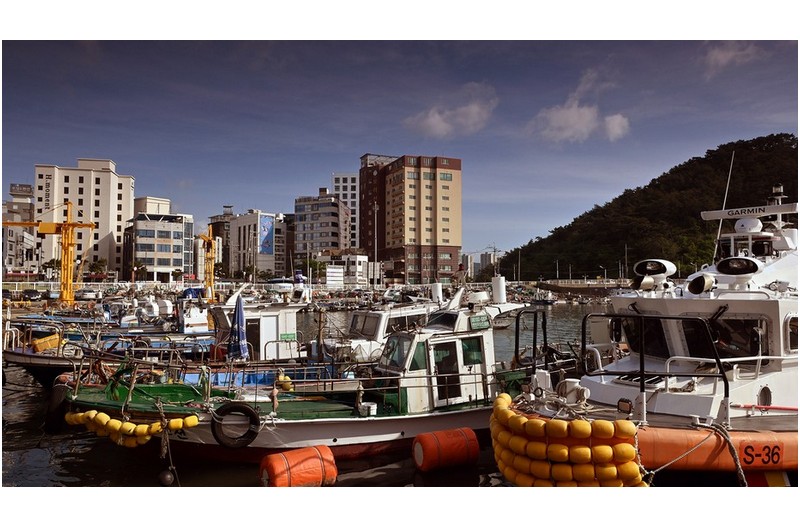 아름다운 포구 ----