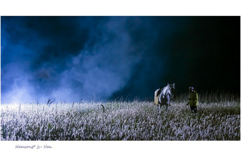 말과 교감을 나누며 -----