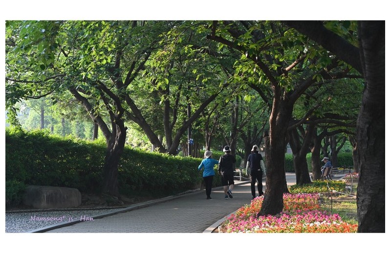 아침 산책길에 -----